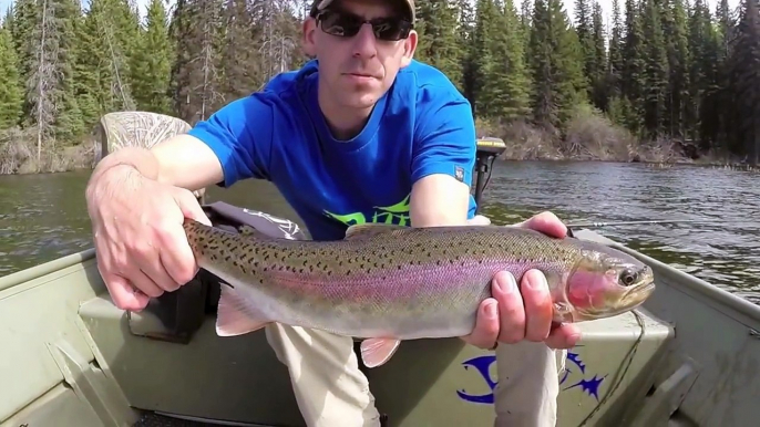 Fly Fishing for Kamloops Rainbow Trout