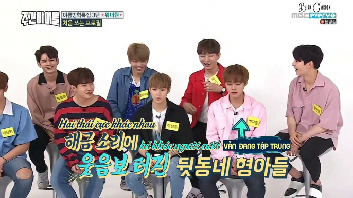 [VIETSUB] WANNA ONE - WEEKLY IDOL EP. 316