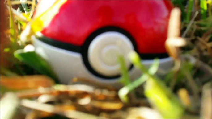 Samuels Pokémon Adventure | Episode 1: THE BEGINNING!
