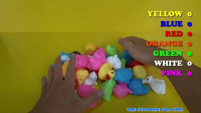 Globos colores Delfín pato huevos huevos huevos para Niños Aprender cerdo sorpresa el tortuga con |