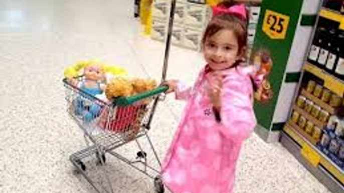 Doing Grocery Shopping with Baby Dolls / Kids Size Shopping Cart