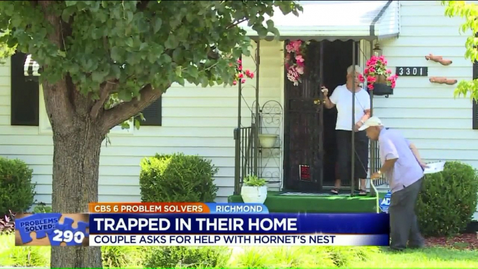 Massive Hornet's Nest Leaves ElderlyCouple 'Trapped' In Their Own Home