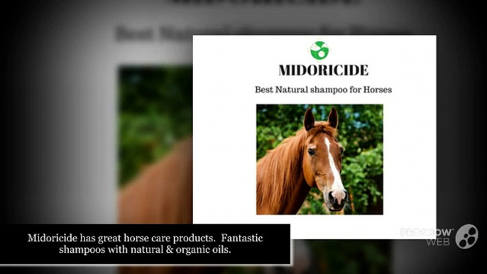 Natural Horse Products