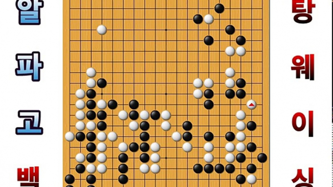 알파고 탕웨이싱에게 바둑의 묘미를 알려주다 [알파고 바둑60연승 30국] alphago VS 탕웨이싱