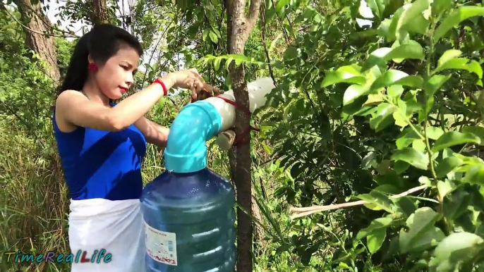 Wow!Amazing Beautiful Girl Makes Awesome Quick Bird Trap Using Compound PVC PIPE and Plast