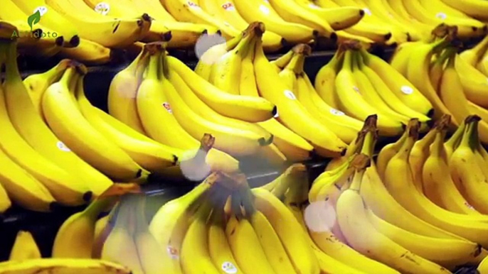 Un et un à un un à bananes corps journée manger pour arrive Si est est est mois par Ceci à Il Quelle ce qui vous vous vous votre