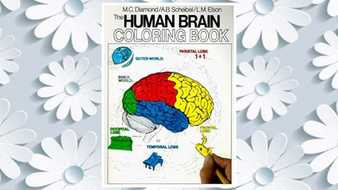 Download PDF The Human Brain Coloring Book (Coloring Concepts Series) FREE