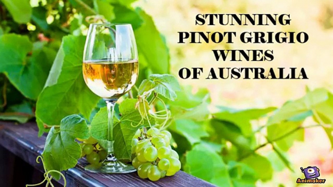 Stunning Pinot Grigio Wines of Australia