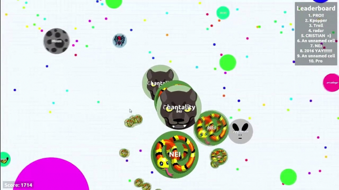 AGAR.IO // Awesome, funny, trolling moments ( agario )