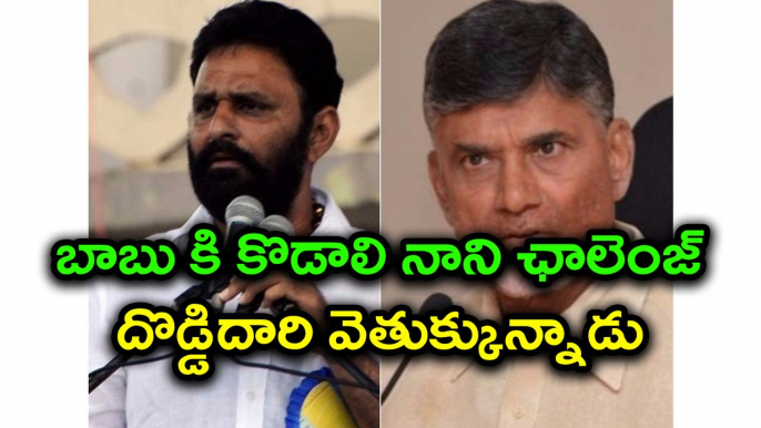 Kodali Nani lashed out at Chandrababu Naidu And throws challenge | Oneindia Telugu