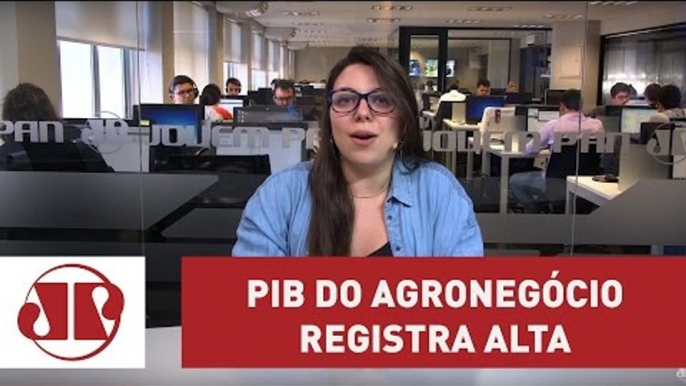 PIB do Agronegócio cresce 2,45% no primeiro semestre de 2016 | Jovem Pan