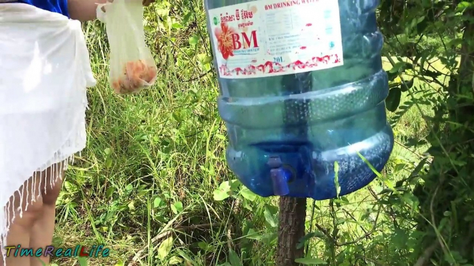 Wow!Amazing Beautiful Girl Makes Awesome Quick Bird Trap Using Compound PVC PIPE and Plast