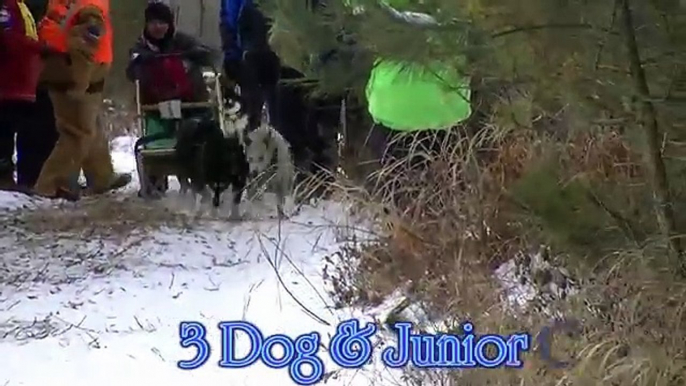 Sled Dog Races Siberian Husky Mush M.U.S.H. Dog Sledding new Thunder Bay Classic