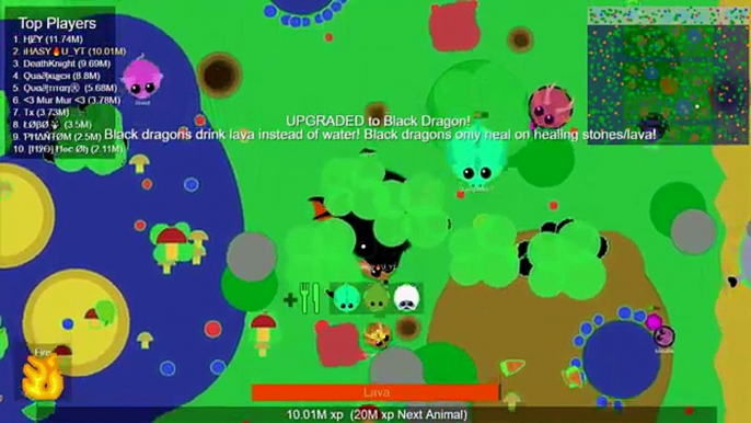 BABY BLACK DRAGONS!! SMALLEST COLOSSAL BABIES FAMILY MOPE.IO UPDATE!! - iHASYOU