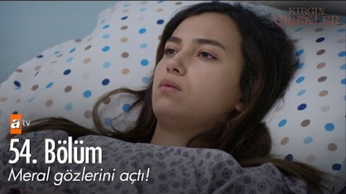 Meral gözlerini açtı! - Kırgın Çiçekler 54. Bölüm - atv