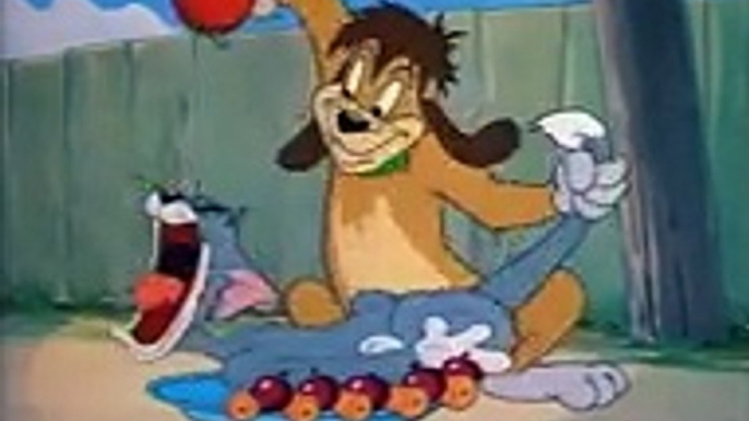 Tom and Jerry, 35 Episode - The Truce Hurts (1948) ,cartoons animated animeTv series 2018 movies action comedy Fullhd season