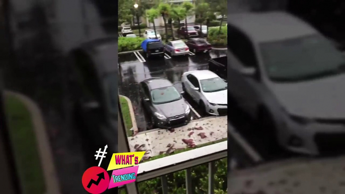 Scary first Video Miami hit by Irma hurricane ,Florida- hurricane Irmaaf termath _720P