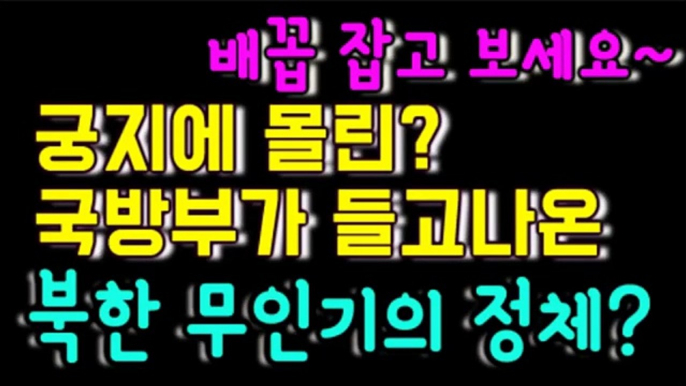 초초초초초초 코미디? 국방부가 들고나온 북한의 무인기의 정체는?