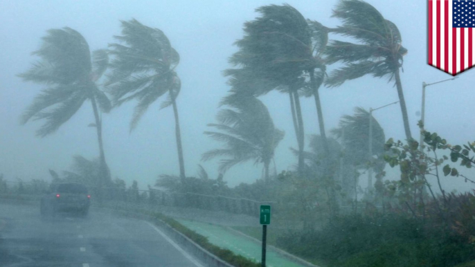 Hurricane Irma: Here’s how to properly prepare yourself in case of an evacuation - TomoNews