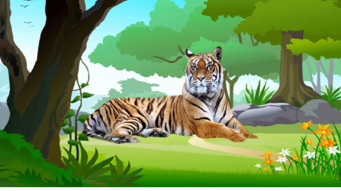 Wild Safari Animals,Nocturnal,Desert,Water Zoo Animals-Learn Names and Sounds-Kids Z Fun