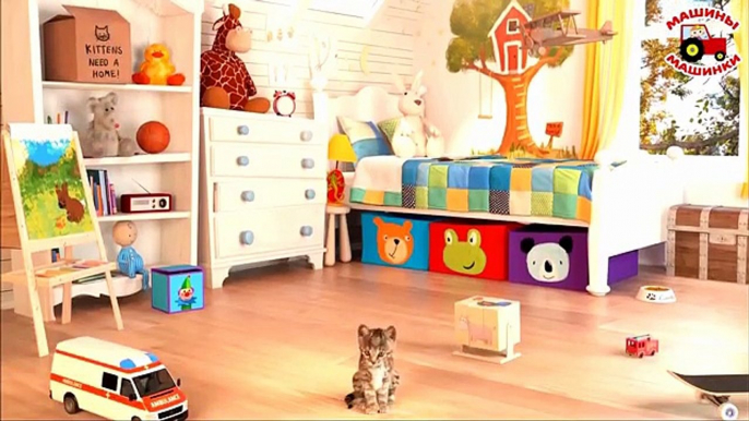 Enfants pour mi mi mi peu de divertissement vidéo chaton pour le chat simulateur pour les enfants