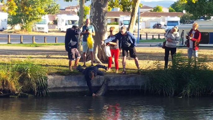 Ce pecheur sort un silure monstrueux du canal du midi...