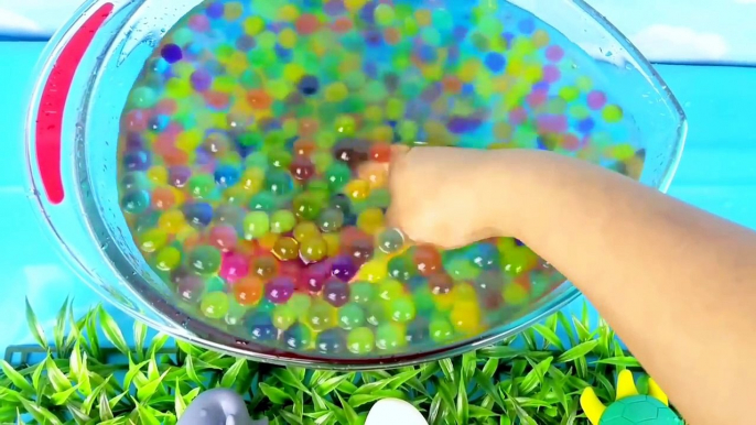 Learning Colors with Sea Animals Fun Water Orbeez Animal Ocean Slimy Kids Children Toddlers Babies