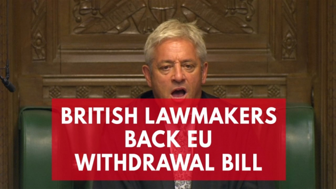 UK Politicians pass through EU withdrawal bill