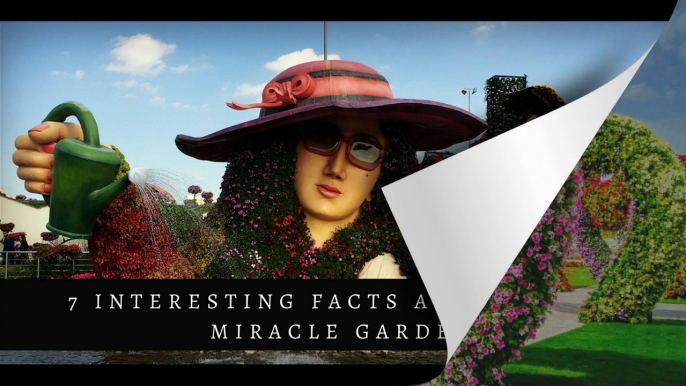 7 interesting facts about Dubai miracle garden