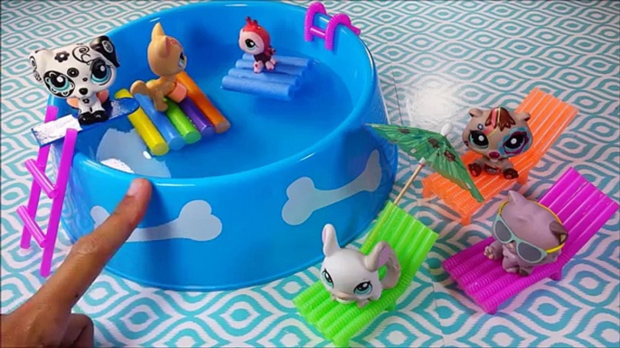 DIY Doll Working Swimming Pool, Chairs, & Floaties for LPS or MLP