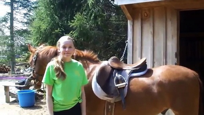 How to ride a horse