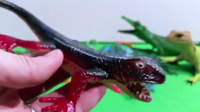 Toy Reptiles -Lizards, Crocodiles, Chameleons, Iguanas, & Alligators - Toy Animals