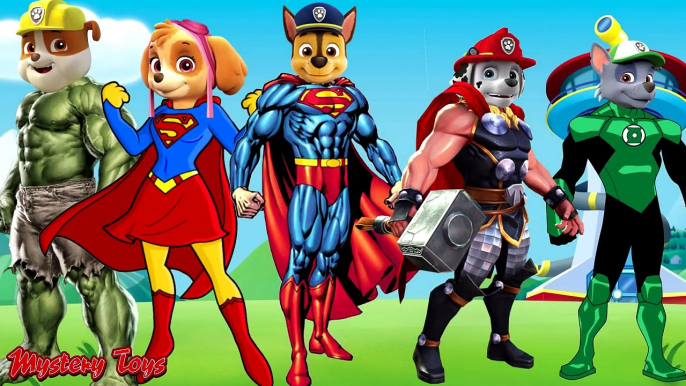 Paw Patrol Transforms Into Superheroes Finger Family Nursery Rhymes Fun Videos for Kids