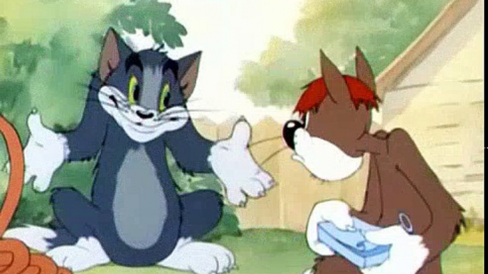 Tom and Jerry Cartoons Collection 009   Sufferin' Cats! [1943]