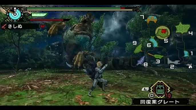 Monster Hunter portable 3rd - The Boss VS Zinogre