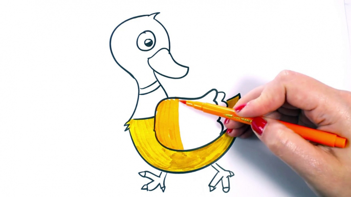 How to Draw SUPER DUCK   Simple Coloring Book with Colored Markers Painting