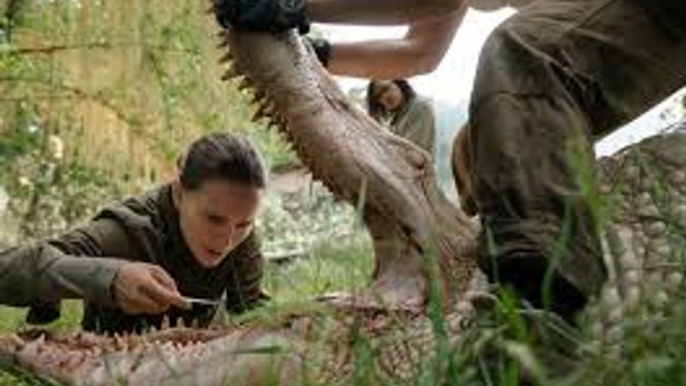 Annihilation Teaser Trailer #1 (2018) - Movieclips Trailers - BTC Trailers