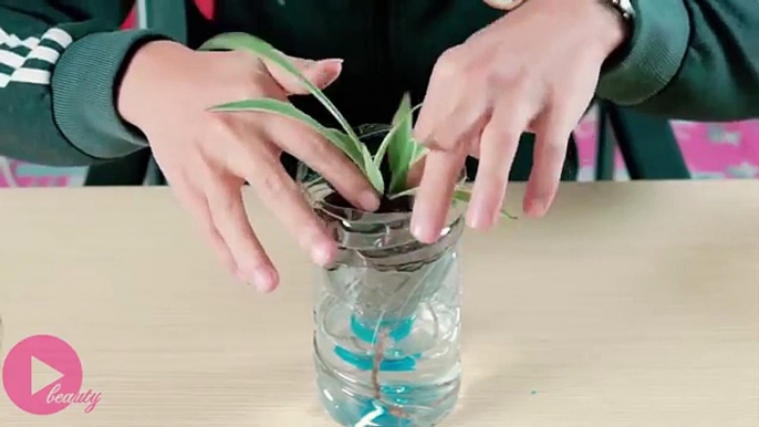 10 DIY Plastic Bottles Life Hacks - DIY Ideas