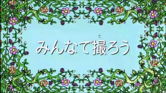 【アニメ】 しまじろうのはっけんたいけんだいすき！「ママのおしごと」 しまじろうのわお！