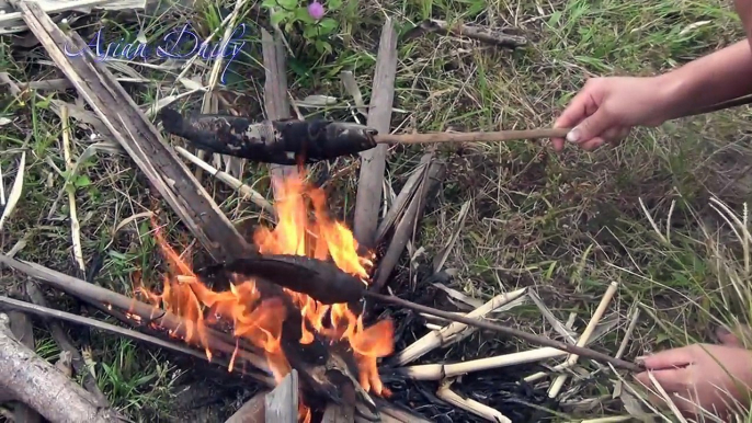 Awesome Cooking Big Fish Grilled Fish Recipe Prepared Beautiful Girl Cooking Village Food