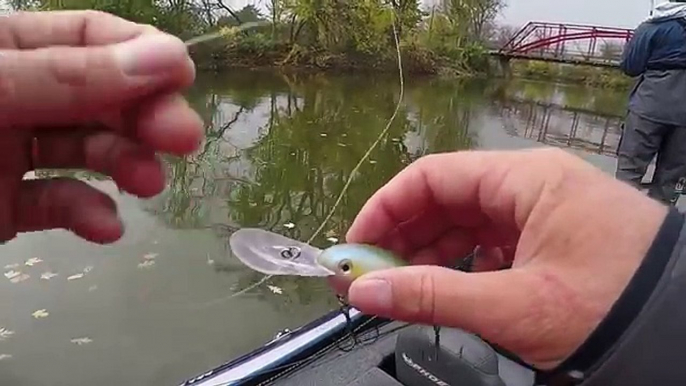 Fishing Cranks for Big River Smallmouth Bass