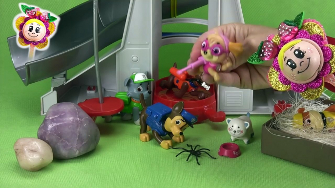 La PATRULLA CANINA: ¡Socorro, una araña! Broma en el Centro de Mando | Juego Paw Patrol español