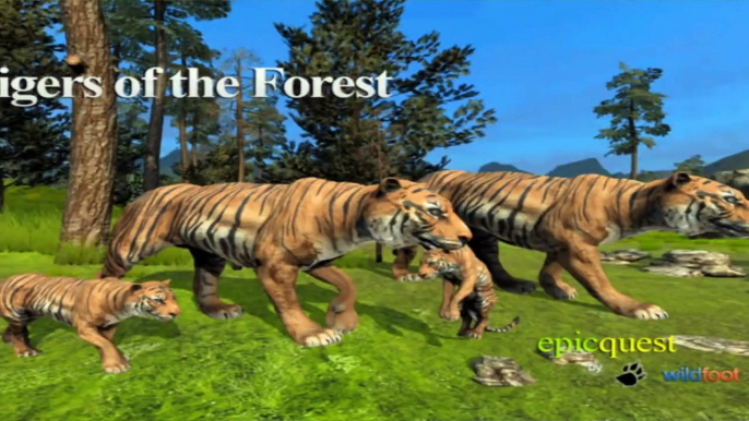 Tigers of the Forest By Wild Foot Games - Android / iOS - Gameplay