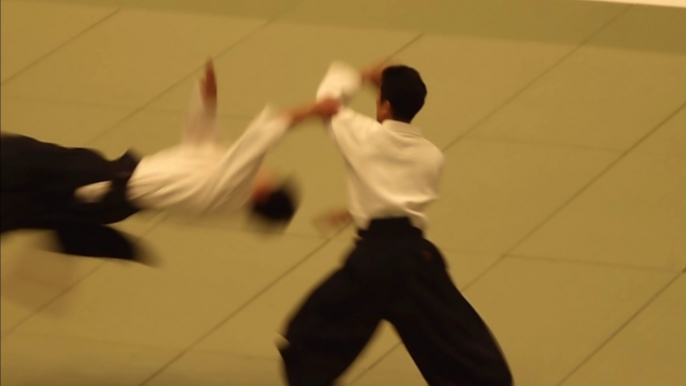 The Young Aikido Master: Waka-sensei (若先生)