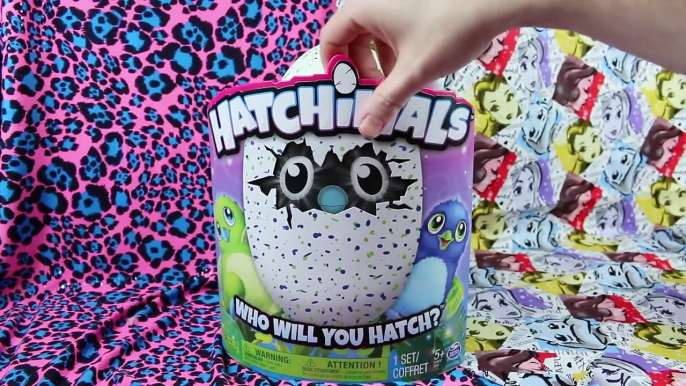 Biggest Hatchimals Hatching Ever! Hatching FIVE Babies today! Hatchimals Surprise Eggs