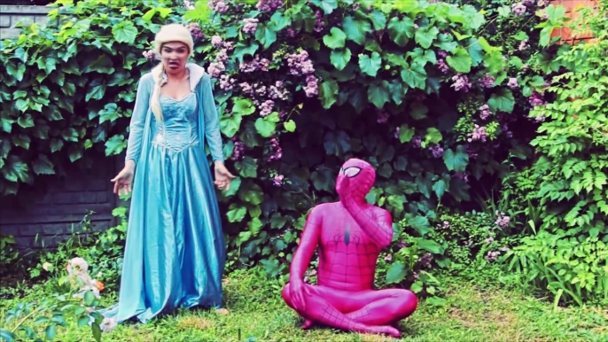 Spiderman & Frozen Elsa babysit snow white baby! Ariel mermaid, Catwoman, Joker funny video