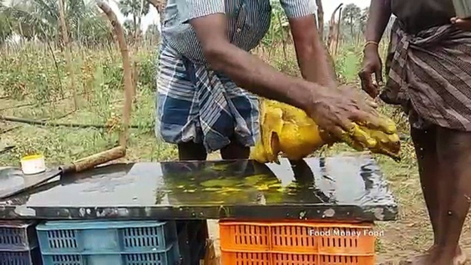 Cooking Dry Red Chilli Country Chicken Gravy in My Village - Spicy Chicken - Food Money Food