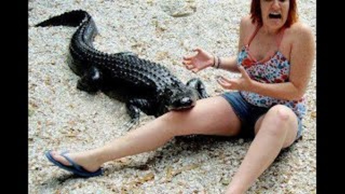 Crocodile Attack in Woman Sea Side - Discovery Channel