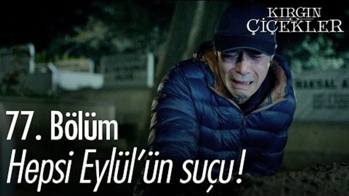 Hepsi Eylül'ün suçu! - Kırgın Çiçekler 77. Bölüm - atv