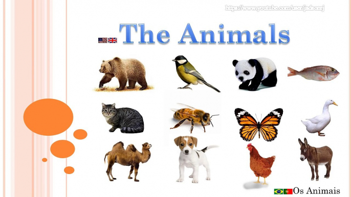 Learn about animals / animals for children / animals in english / animais em inglês